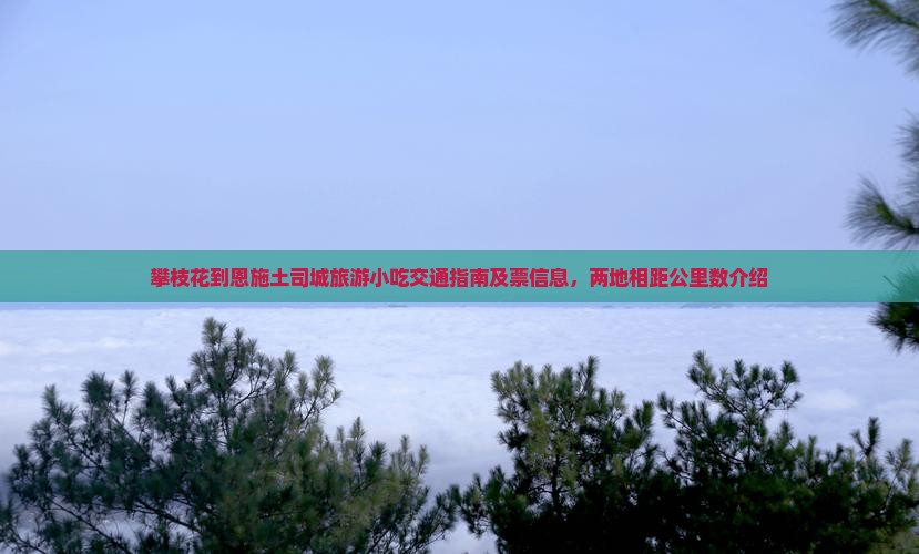 攀枝花到恩施土司城旅游小吃交通指南及票信息，两地相距公里数介绍