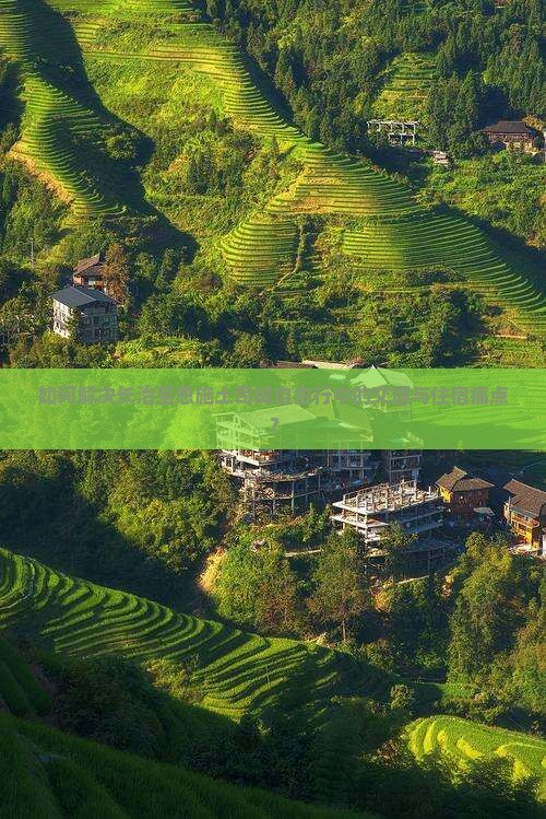如何解决长治至恩施土司城自由行中的交通与住宿痛点？