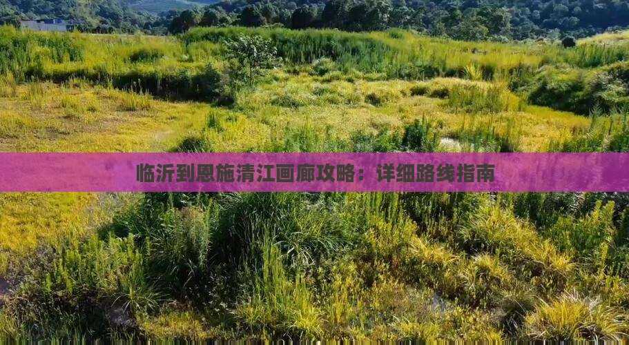 临沂到恩施清江画廊攻略：详细路线指南