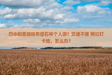 巴中到恩施梭布垭石林个人游？交通不便+网红打卡地，怎么办？