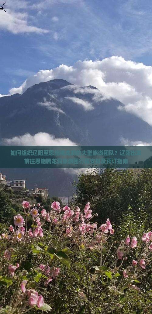 如何组织辽阳至恩施腾龙洞的大型旅游团队？辽阳出发前往恩施腾龙洞旅游团行程安排及预订指南