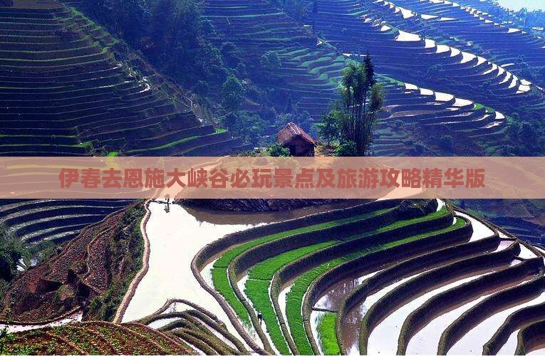 伊春去恩施大峡谷必玩景点及旅游攻略精华版