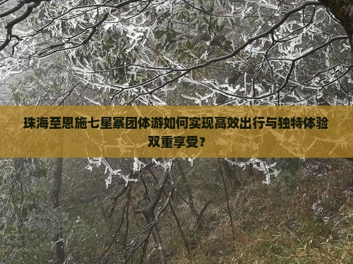 珠海至恩施七星寨团体游如何实现高效出行与独特体验双重享受？