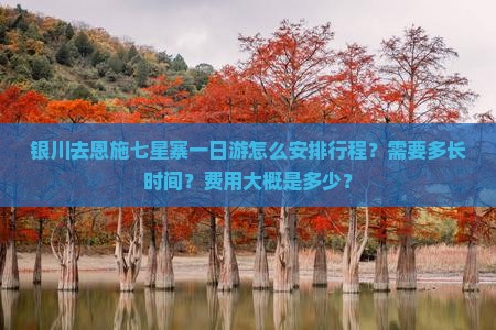 银川去恩施七星寨一日游怎么安排行程？需要多长时间？费用大概是多少？