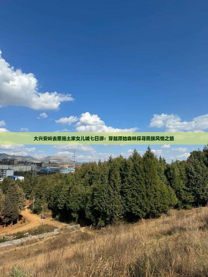 大兴安岭去恩施土家女儿城七日游：穿越原始森林探寻民族风情之旅