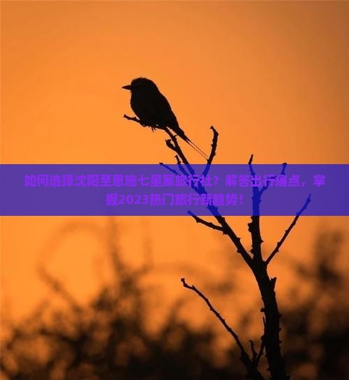 如何选择沈阳至恩施七星寨旅行社？解答出行痛点，掌握2023热门旅行新趋势！