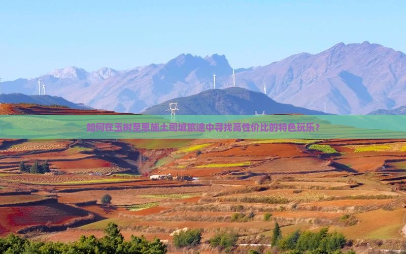 如何在玉树至恩施土司城旅途中寻找高性价比的特色玩乐？