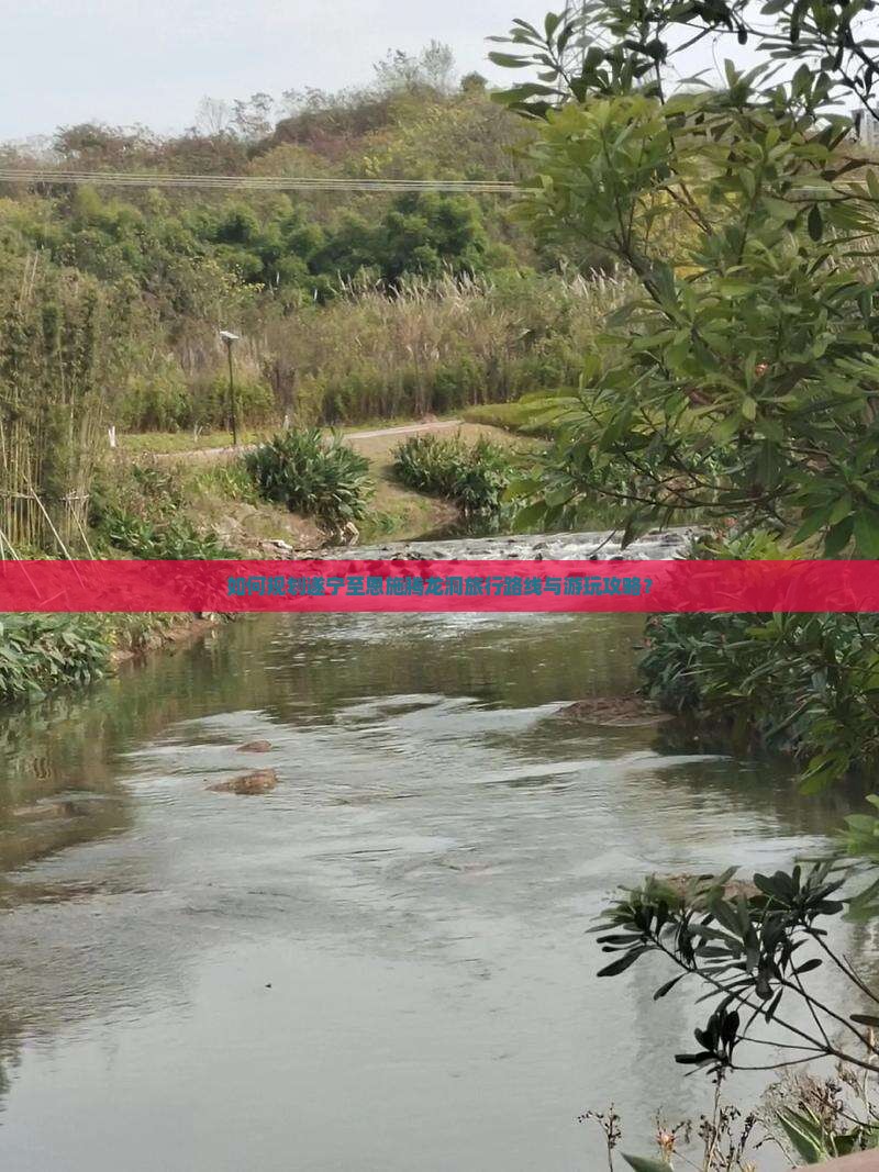 如何规划遂宁至恩施腾龙洞旅行路线与游玩攻略？