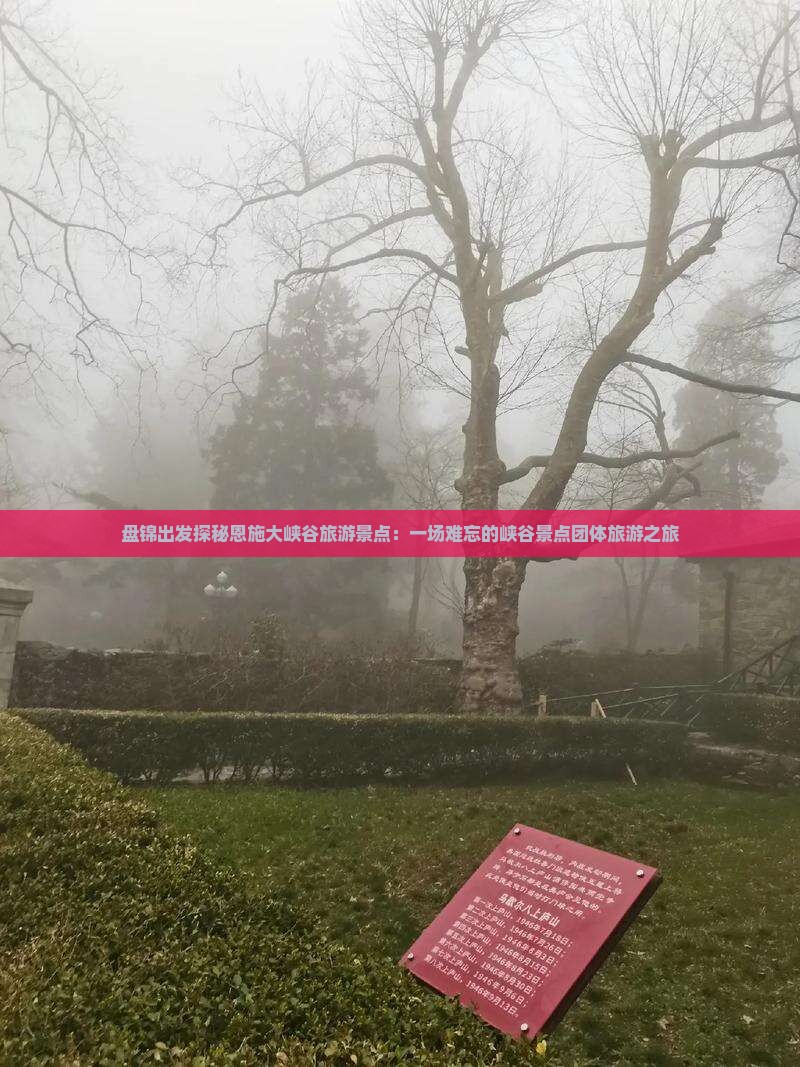 盘锦出发探秘恩施大峡谷旅游景点：一场难忘的峡谷景点团体旅游之旅