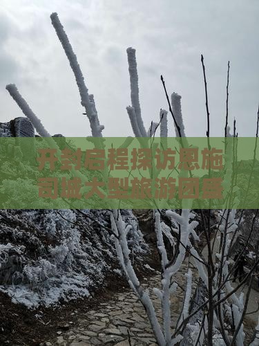 开封启程探访恩施司城大型旅游团盛启