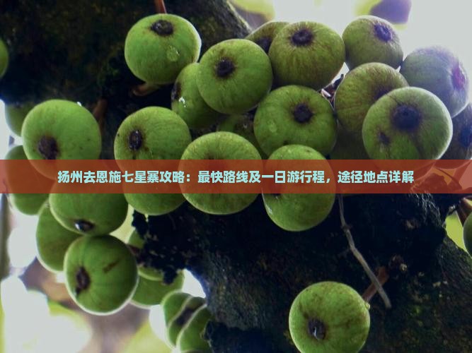 扬州去恩施七星寨攻略：最快路线及一日游行程，途径地点详解