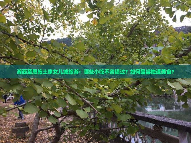 湘西至恩施土家女儿城旅游：哪些小吃不容错过？如何品尝地道美食？