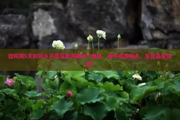 如何用5天时间从许昌深度游恩施七星寨，避开旅游痛点，享受品质旅程？