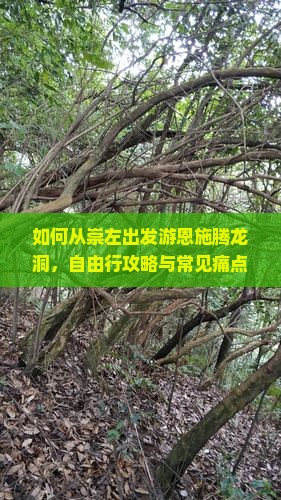 如何从崇左出发游恩施腾龙洞，自由行攻略与常见痛点解答？