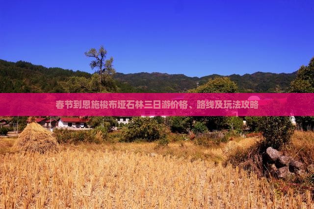 春节到恩施梭布垭石林三日游价格、路线及玩法攻略