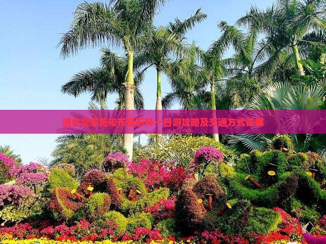 通化至恩施梭布垭石林一日游攻略及交通方式详解