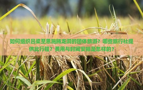 如何组织吕梁至恩施腾龙洞的团体旅游？哪些旅行社提供此行程？费用与时间安排是怎样的？