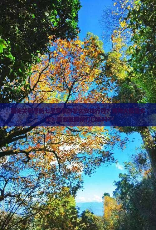 嘉峪关到恩施七星寨旅游怎么安排行程？费用大概是多少？需要提前预订门票吗？