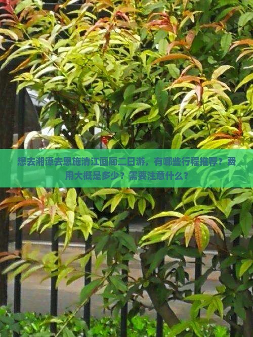 想去湘潭去恩施清江画廊二日游，有哪些行程推荐？费用大概是多少？需要注意什么？