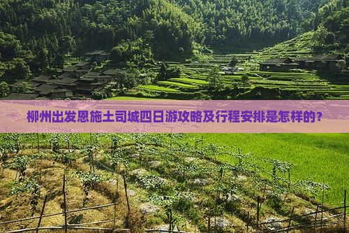 柳州出发恩施土司城四日游攻略及行程安排是怎样的？
