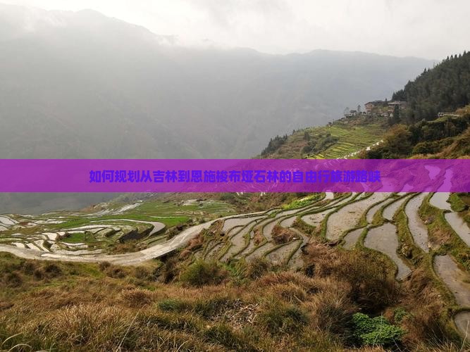 如何规划从吉林到恩施梭布垭石林的自由行旅游路峡