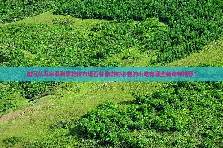 如何从五家渠到恩施梭布垭石林旅游时必尝的小吃有哪些新奇特推荐？