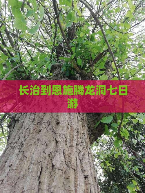 长治到恩施腾龙洞七日游