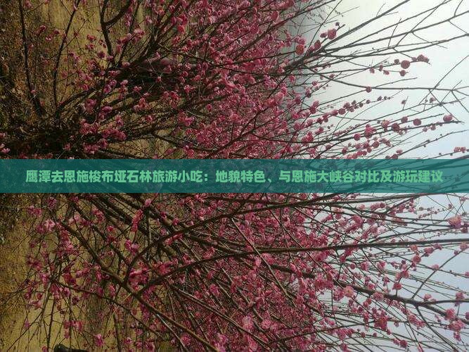 鹰潭去恩施梭布垭石林旅游小吃：地貌特色、与恩施大峡谷对比及游玩建议