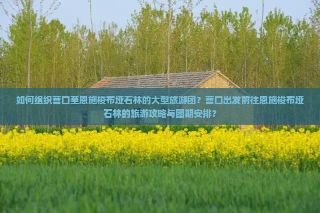 如何组织营口至恩施梭布垭石林的大型旅游团？营口出发前往恩施梭布垭石林的旅游攻略与团期安排？