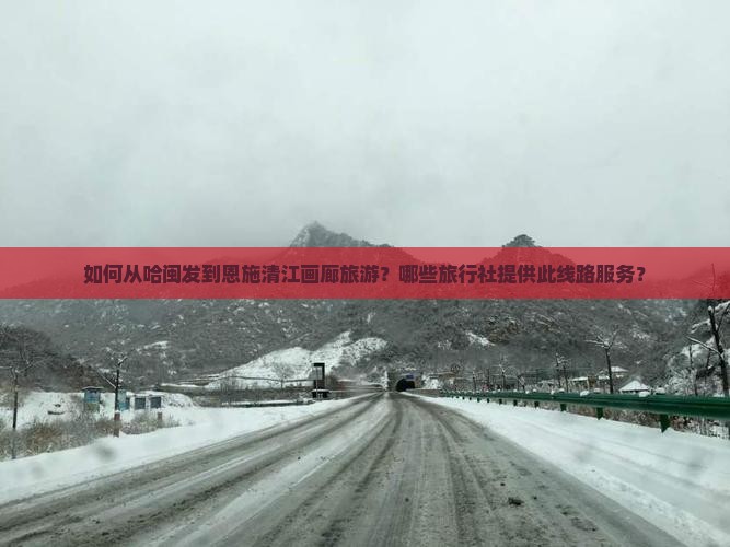 如何从哈闽发到恩施清江画廊旅游？哪些旅行社提供此线路服务？