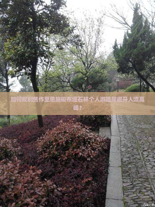 如何规划焦作至恩施梭布垭石林个人游路犀避开人流高峰？