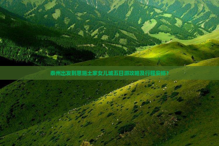 泰州出发到恩施土家女儿城五日游攻略及行程安排？