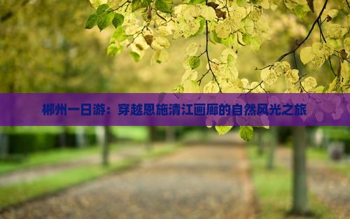郴州一日游：穿越恩施清江画廊的自然风光之旅