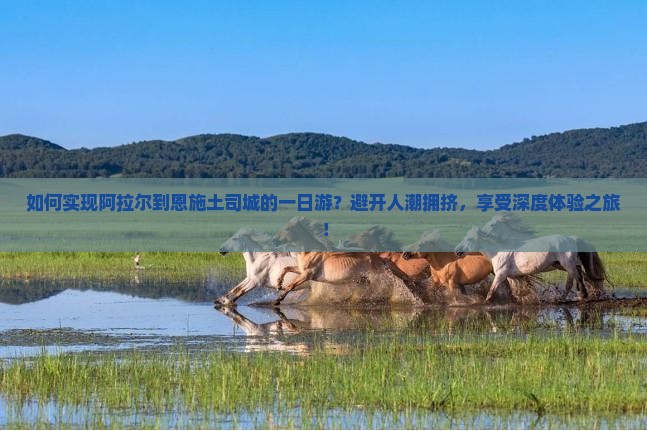 如何实现阿拉尔到恩施土司城的一日游？避开人潮拥挤，享受深度体验之旅！