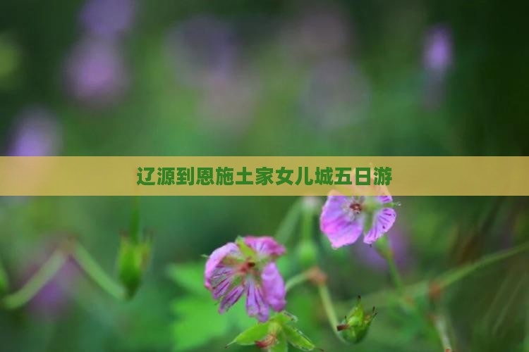 辽源到恩施土家女儿城五日游