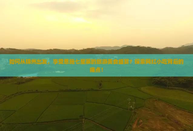 如何从锦州出发，享受恩施七星寨的旅游美食盛宴？探索网红小吃背后的痛点！