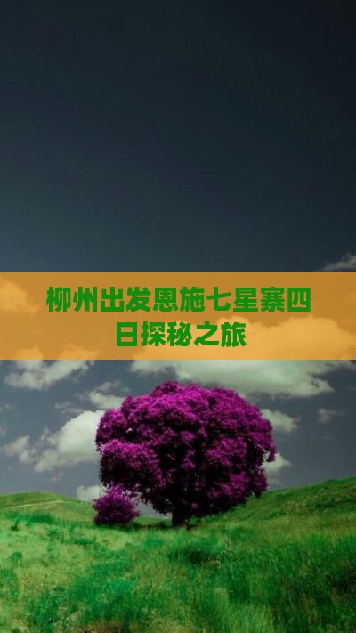 柳州出发恩施七星寨四日探秘之旅