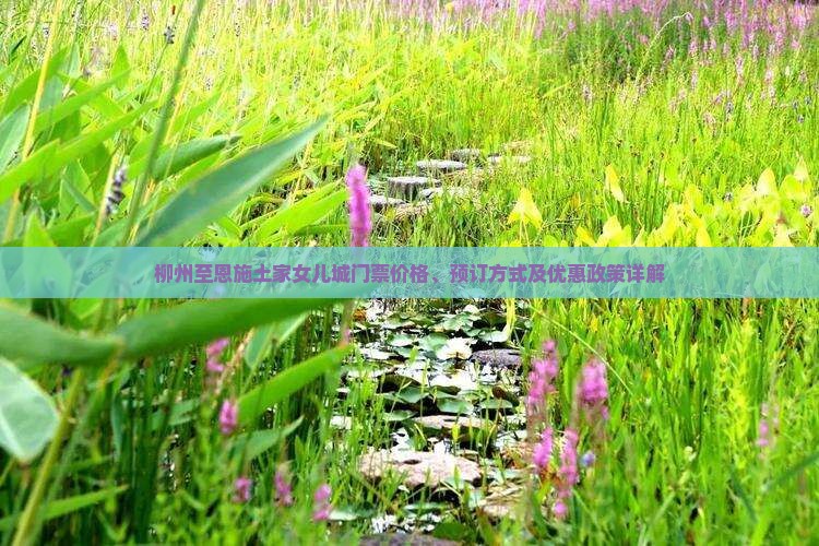 柳州至恩施土家女儿城门票价格、预订方式及优惠政策详解