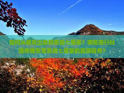 如何从雅安出发到恩施七星寨？哪些旅行社提供雅安至恩施七星寨的旅游服务？