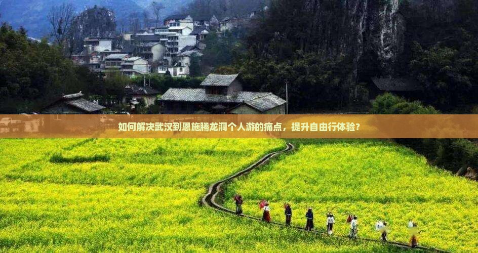 如何解决武汉到恩施腾龙洞个人游的痛点，提升自由行体验？