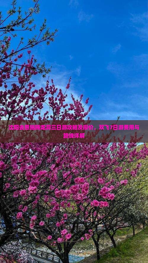 沈阳去恩施腾龙洞三日游攻略及报价，双飞7日游费用与路线详解