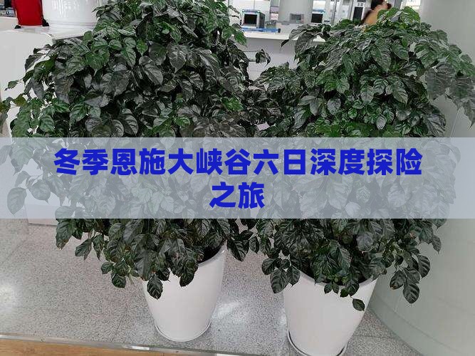 冬季恩施大峡谷六日深度探险之旅