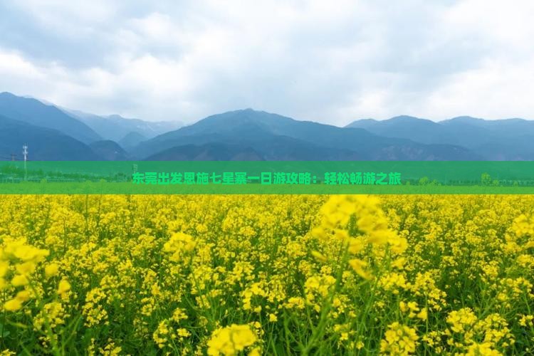 东莞出发恩施七星寨一日游攻略：轻松畅游之旅