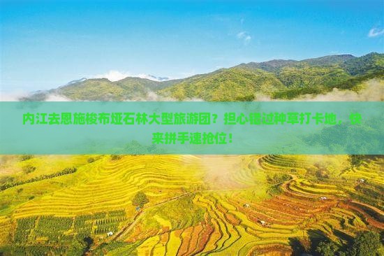 内江去恩施梭布垭石林大型旅游团？担心错过种草打卡地，快来拼手速抢位！