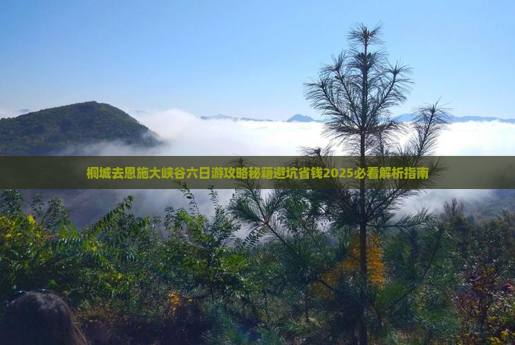 桐城去恩施大峡谷六日游 桐城去恩施大峡谷六日游