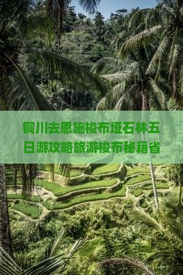 铜川去恩施梭布垭石林五日游