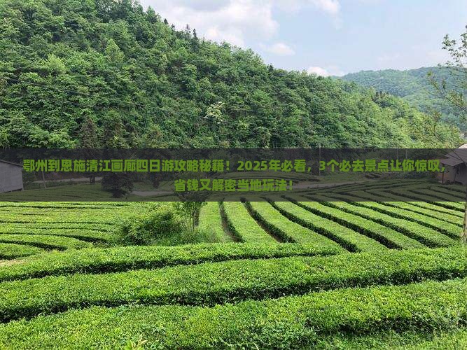鄂州到恩施清江画廊四日游