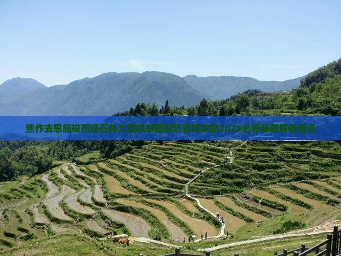 焦作去恩施梭布垭石林大型旅游团