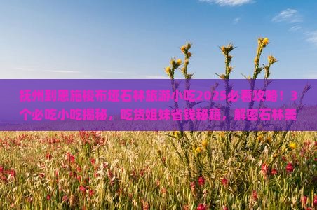 抚州到恩施梭布垭石林旅游小吃