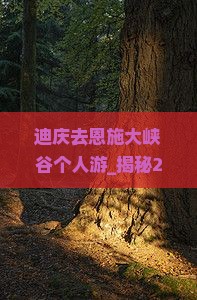 迪庆去恩施大峡谷个人游